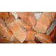 Porzioni di salmone