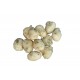 Frittelle alle Alghe