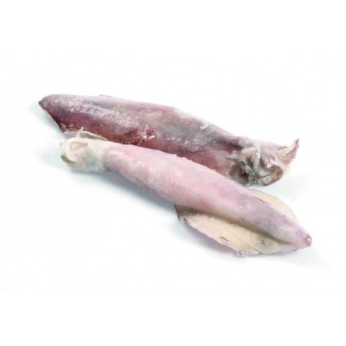 Calamari sporchi "S" orig. SUDAFRICA