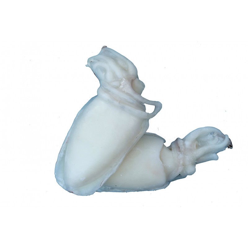 Seppie 1/2 India glass. 20%