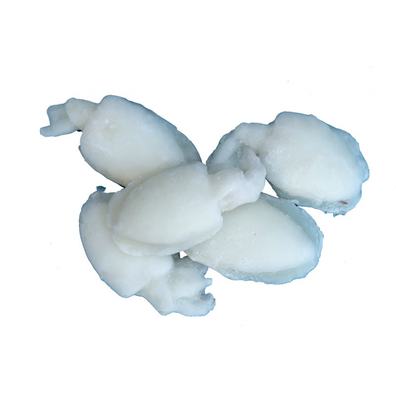 Seppie 8/12 Sasha 6buste x 1kg orig. INDIA