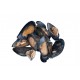 Cozze 1/2 guscio orig. CILE