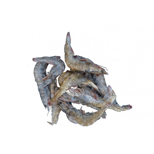 Gamberi Tropical 50/60 con guscio
