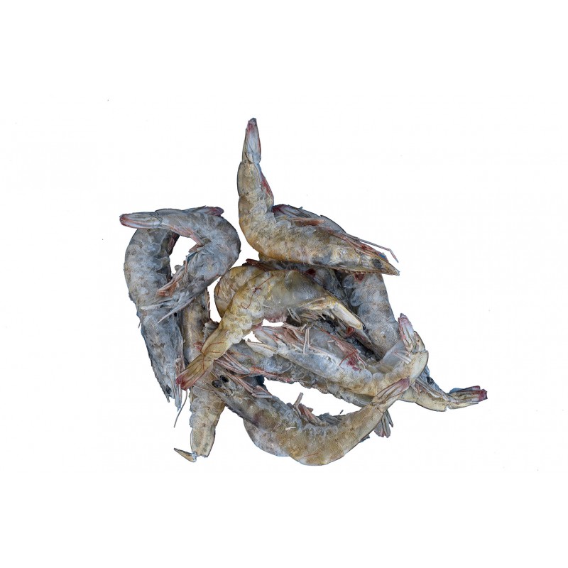 Gamberi Tropical 60/70 IQF c/guscio Crudi