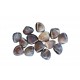 Vongole c/guscio