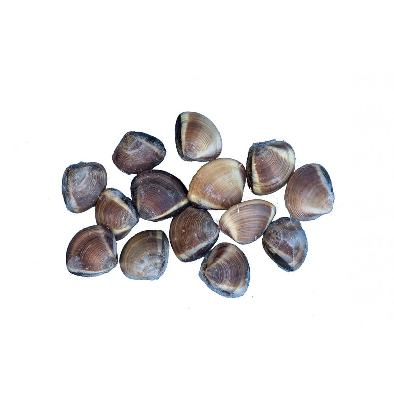 Vongole c/guscio