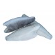 Filetti Branzino 80/120 25% ITTITALIA