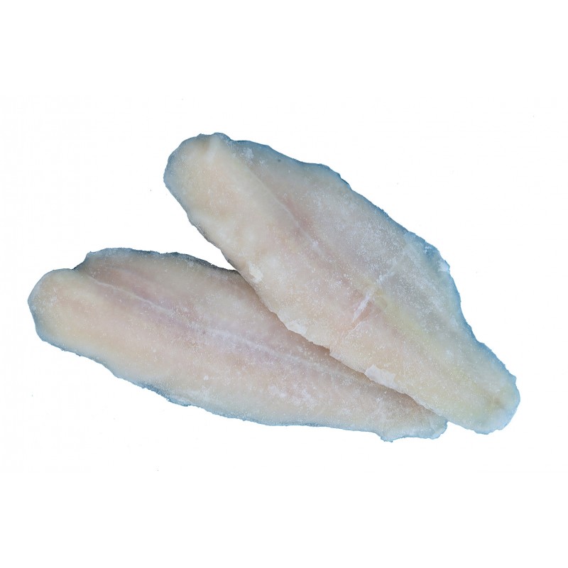 Filetti Pangasio iqf 10 buste x 1kg ITTITALIA