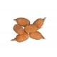 Chele di Granchio 4 buste x 1kg orig. THAILANDIA