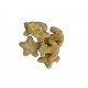 Funny Fish orig. GERMANIA