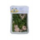 Gamberi e Asparagi 180gr LEBONTADELMARE