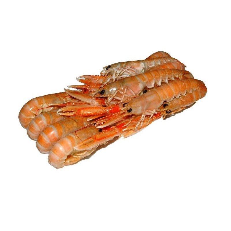 Scampi 17/20 laeso orig. SCOZIA